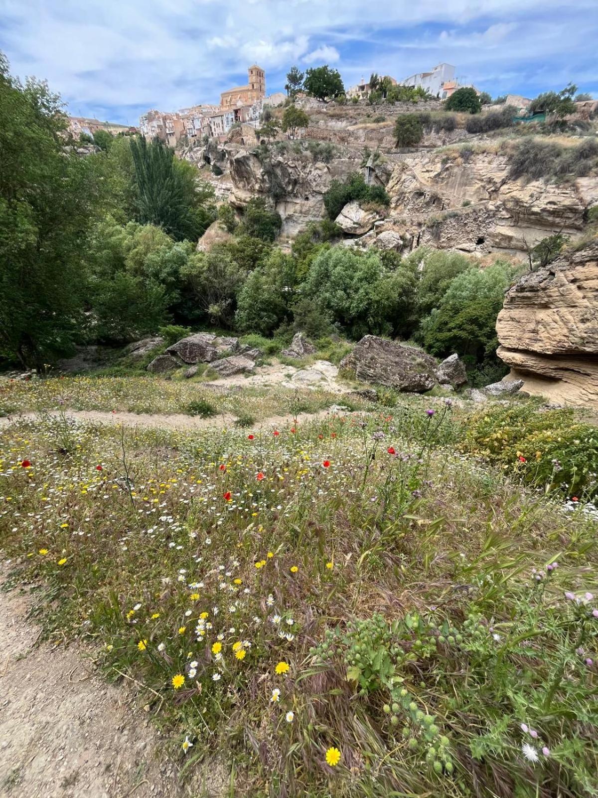 Alojamiento La Escalera Alhama de Granada Kültér fotó