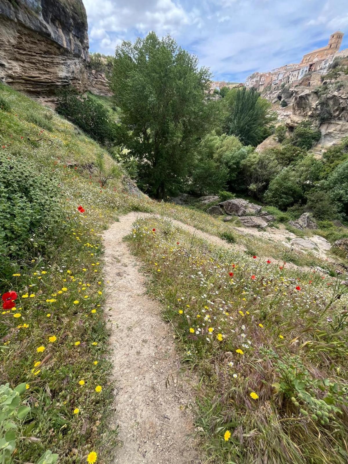 Alojamiento La Escalera Alhama de Granada Kültér fotó